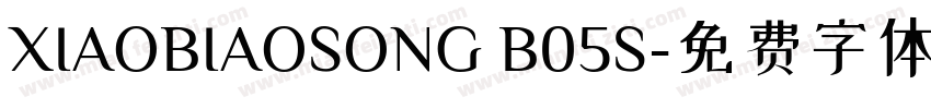 XIAOBIAOSONG B05S字体转换
